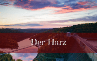Der Harz - Wandern durch einen Wald im Wandel
